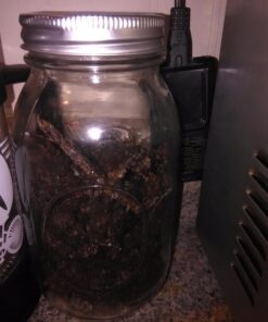 Ball Mason Regular Mouth Quart Jars with Lids and Bands, Set of 12 RM Quart Ball Jar 12 pk Standard Packaging 27 71uAD10JjvL