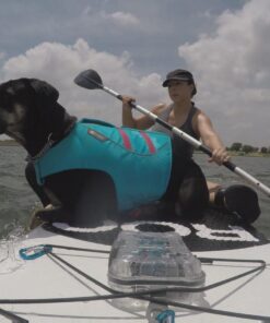 SublimeWare Suction Cup for Gopro Mount Car Windshield Window Vehicle Boat Camera Holder for Gopro Suction Cup Mount - for GoPro Hero 10 Hero 9 Black Max 360 Hero 8 Black Hero 7 Hero 6 HD 22 71uBqVLpo2L