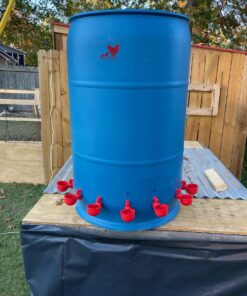 Chicken Water Cup Waterer Kit for Poultry - Pack of 6 + One Extra for Free (Total of 7) 29 71uC8LoWWUL