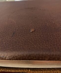 Teliaoils Leather Conditioner - Natural Clear Leather Repair Care Balm for any kind- Waterproofing Leather Salve Restorer, Softener & Protector - for Upholstery, Furniture, Shoes, Sofa & More 53 71uDQLiGwFL