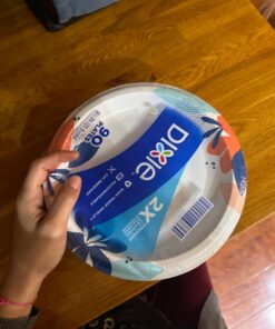 Dixie Paper Plates, 8 1/2 inch, Dinner Size Printed Disposable Plate, 90 Count Multicolor 27 71uDQeUQ7iL