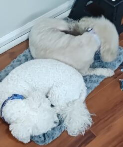 MidWest Homes for Pets Deluxe Dog Beds | Super Plush Dog & Cat Beds Ideal for Dog Crates | Machine Wash & Dryer Friendly, 1-Year Warranty,Gray Gray 22-Inch 32 71uEyueRxuL 1