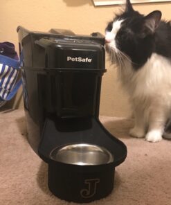 PetSafe Healthy Pet Simply Feed - Automatic - Headquartered in Knoxville, TN - Automatic Dog Feeder from the Engineers of the Smart Feed & Dancing Dot - 1-Year Comprehensive Protection Plan,Black 64 71uFWXd5Y L 1