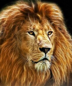 The Jungle Book (BD + DVD + Digital HD) Blu-ray August 30, 2016 29 71uFmnkD3OL