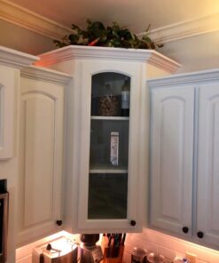 Nearly Natural 15in. Pothos Ledge Plant (Set on Foam) Silk Plant,Green 46 71uHTSvqJDL