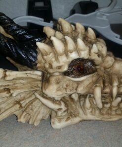 Snarling Magical Dragon Skull Treasure Trinket Box 54 71uKKCdUD L