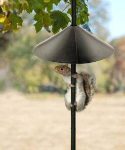 Woodlink BLBAF18 Wrap Around Squirrel Baffle, 18-Inch 7 71uLsbTxCRL