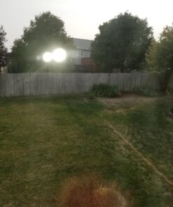 Scotts Turf Builder WinterGuard Fall Weed & Feed3, Weed Killer Plus Fall Fertilizer, 5,000 sq. ft., 14.29 lbs. 5,000 sq. ft. 30 71uMK9CKJgL