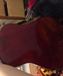 HOHNER 6 String Acoustic Guitar, Right Handed, Natural (HAG250P) Hohner Guitar 29 71uOLhXBVlL