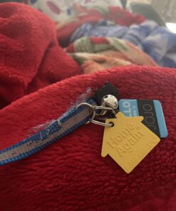 Upgraded Version - Reflective Cat Collar with Bell, Set of 6, Solid & Safe Collars for Cats, Nylon, Mixed Colors, Pet Collar, Breakaway Cat Collar Charms, Free Replacement 39 71uOr1KjKCL 1