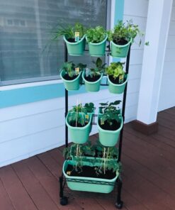 Watex Mobile Green Wall (Double Frame, Spring Bouquet), BPA Free Planters Double Frame 32 71uQIKGZgvL