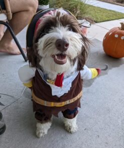 NACOCO Pet Dog Costume Pirates of The Caribbean Style (Medium) Medium Brown 40 71uSFA05LL