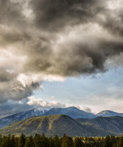 Nikon Z7 FX-Format Mirrorless Camera Body w/ NIKKOR Z 24-70mm f/4 S w/ 24-70mm Base 49 71uWli2TTIL