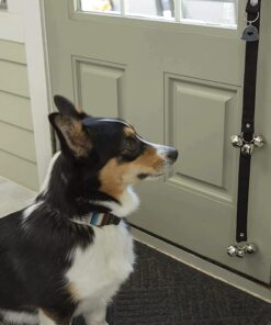 Caldwell's Dog Potty Bell for Dogs to Ring to Go Outside - The Original Dog Door Bell for Potty Training - Premium Quality Dog Training Tools & New Puppy Essentials One Potty Bell Black 23 71uZxGbiYLL