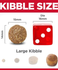 Hill's Science Diet Dry Dog Food, Large Breed Adult 6+ Senior, Chicken, Barley & Rice Recipe, 33 lb. Bag 33 Pound (Pack of 1) 19 71ubGsn1y0L