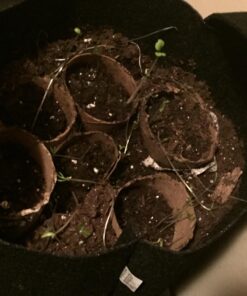 247Garden 5-Pack 1-Gallon Aeration Fabric Pot/Plant Grow Bag w/Handles (260 GSM, Black, 6H x 7D) 1 Gallon 37 71ucfzXrAZL