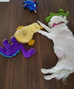 KONG - Cozie Ali Alligator - Indoor Cuddle Squeaky Plush Dog Toy - For Medium Dogs Standard Packaging 47 71uf BRJyWL