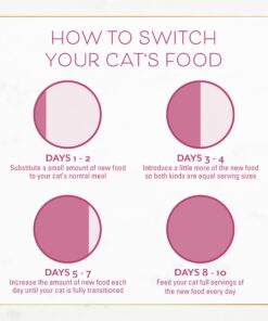 Purina Fancy Feast Dry Cat Food Filet Mignon Flavor with Seafood and Shrimp - 7 lb. Bag Filet Mignon, Seafood & Shrimp 7.00 Pound (Pack of 1) 31 71ufPvenJbL