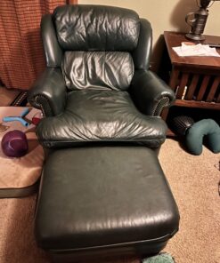 The Original Leather Recoloring Balm by Furniture Clinic - 16 Color Options - Leather Repair Kit for Furniture - Restore Couches, Car Seats, Clothing - Non-Toxic Leather Repair Cream (Pine Green) Pine Green 51 71ufinwKqaL