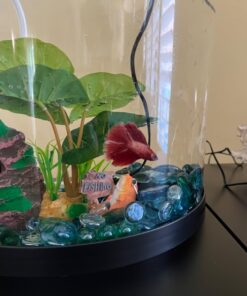 Tetra ColorFusion Starter aquarium Kit 3 Gallons, Half-Moon Shape, With Bubbler And Color-Changing Light Disc 48 71ug3KypFiL