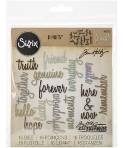 Sizzix, Multi Color, One Size Thinlits Die Set 660225, Friendship Words Script by Tim Holtz, 16 Pack 9 71ukjIilWpL