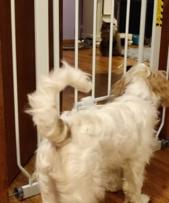 Carlson Extra Wide Walk Through Pet Gate with Small Pet Door, Includes 4-Inch Extension Kit, Pressure Mount Kit and Wall Mount Kit,White 41 71umLuVfH2L