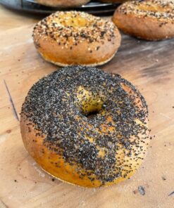 Hoosier Hill Farm Dry Malt (Diastatic) baking Powder 1.5 lb. 42 71umnp9bX0L