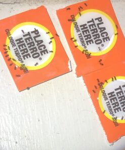 Terro T100-12 Liquid Ant Killer II, 1 oz, Pack of 1 33 71untUkif7L