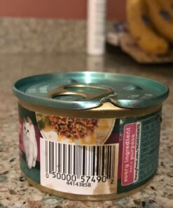 Purina Fancy Feast Wet Cat Food Medleys - (24) 3 oz. Cans Salmon Primavera in Sauce 3.00 Ounce (Pack of 24) 26 71upCUfVQIL