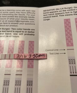 Pregmate Ovulation Test Strips (25 Count) 25 Count (Pack of 1) 32 71uqL 56j6L