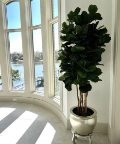 Nearly Natural 6ft Fiddle Leaf Fig Artificial Trees, 72in, Green 72 in 42 71urWwQwNrL