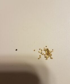 Nugget Reserve Gold Paydirt Clunker Panning Pay Dirt Bag – Gold Prospecting Concentrate 47 71utcyTt2ML