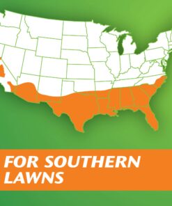 Scotts Turf Builder Grass Seed Bermudagrass, Mix for Full Sun, Built to Stand Up to Heat & Drought, 5 lbs. 5 lb. 57 71uwP28FjNL