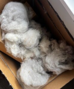 AIRROBO Dog Hair Vacuum & Dog Grooming Kit, 12000Pa Strong Pet Grooming Vacuum, 2L Large Capacity Dog Vacuum for Shedding Grooming Hair, Quiet, 5 Pet Grooming Tools, PG100 55 71uwUmLmVYL