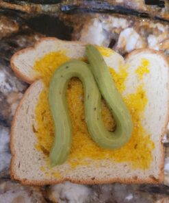 NOW Supplements, Wheat Germ Oil with Essential Fatty Acids (EFAs), Nutritional Oil, 16-Ounce 16 Fl Oz (Pack of 1) 18 71uwov0PiyL