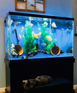 Python No Spill Clean and Fill Aquarium Gravel Tube, 24-Inch 2.00 x 2.00 x 33.00 9 71uy46witkL