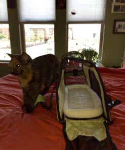 Paws & Pals Airline Approved Pet Carrier - Soft-Sided Carriers for Small Medium Cats and Dogs Air-Plane Travel On-Board Under Seat Carrying Bag with Fleece Bolster Bed for Kitten Cat Puppy Dog Taxi Green 53 71uzUh9LfAL