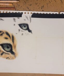 Caran d'Ache Luminance 6901 Clr Pncl Set 76 Artist Rng Pencil Set 47 71v DLXFavL