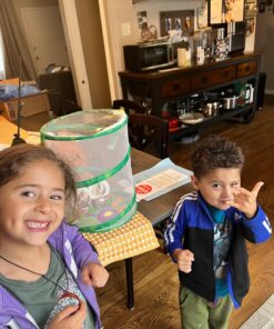 Painted Lady Butterfly Kit - Habitat, STEM Journal, & Voucher for Chrysalis Log & Caterpillars - Grow Your Own Butterfly Kit 32 71v3xwlgM5L