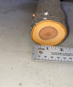 Fiskars 32" PowerGear2 Steel Blade Garden Bypass Lopper and Tree Trimmer - Sharp Precision-Ground Steel Blade Tree Cutter Blade for Branches up to 2" Diameter 32 in 45 71v75kSP09L