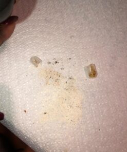 NATURELO Prenatal Multivitamin with Gentle Chelated Iron, Methyl Folate, Plant Calcium & Choline - Vegan, Vegetarian - Non-GMO - Gluten Free - 180 Capsules - 2 Month Supply 180 Count (Pack of 1) 44 71v8VtiDrFL