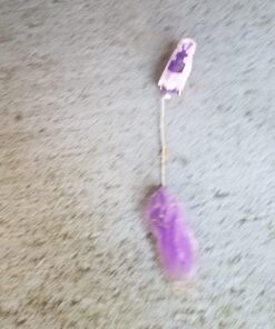 HEXBUG nano Robotic Cat - Interactive Automated Toy, Stimulate Hunting Instinct of Your Feline and Create Exercising Opportunities - Ships Assorted 27 71v8ffi35EL