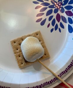 Nostalgia Tabletop Indoor Electric S'mores Maker - Smores Kit With Marshmallow Roasting Sticks and 4 Trays for Graham Crackers, Chocolate, and Marshmallows - Movie Night Supplies - Brown S'mores Maker Brown 38 71v9b6mWo4L