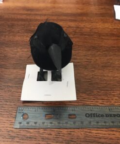 PREXTEX 6pcs Black-Feathered Small Crows Halloween Decorations | Outdoor&Indoor Decor | Fake Bird, Halloween Birds, Scary Ravens, Decorative Crows, Raven | Home, Fence, Porch, Tree, Party Decoration 38 71vD20BEPHL