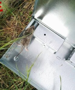 Victor M310S Tin Cat Multi-Catch Live Mouse Trap - Indoor and Outdoor Humane Catch and Release 1 Trap 32 71vDvIar6fL