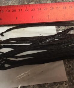 10 Split Extract Grade B Madagascar Bourbon Vanilla Beans 13~15 cm (5~6") by Vanilla Products USA 38 71vGxc6XkjL