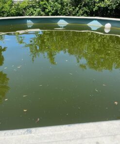 Clorox Pool&Spa Green Algae Eliminator2 32 oz 46 71vIMiCfZ8L