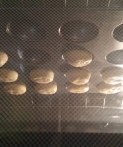 Wilton Non-Stick Donut Hole Baking Pan, 20-Cavity 19 71vIVypjL