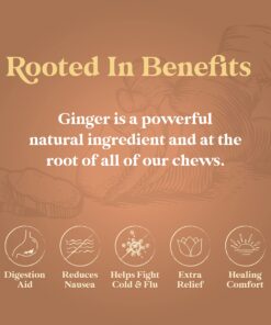 CHIMES PEPPERMINT Ginger Chews (1-Pound 1 LB BAG) Premium Natural Chewy Ginger Candy — 16 OZ Individually Wrapped Ginger Chew Candy 1 Pound (Pack of 1) 11 71vJ4StlTjL 1