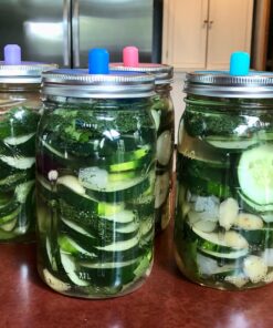 Masontops Complete Mason Jar Fermentation Kit - Pickle Kit, Sauerkraut Making Kit Kimchi Container - Fermentation Airlock Lids Wide Mouth Mason Jars 30 71vJBIPpcjL